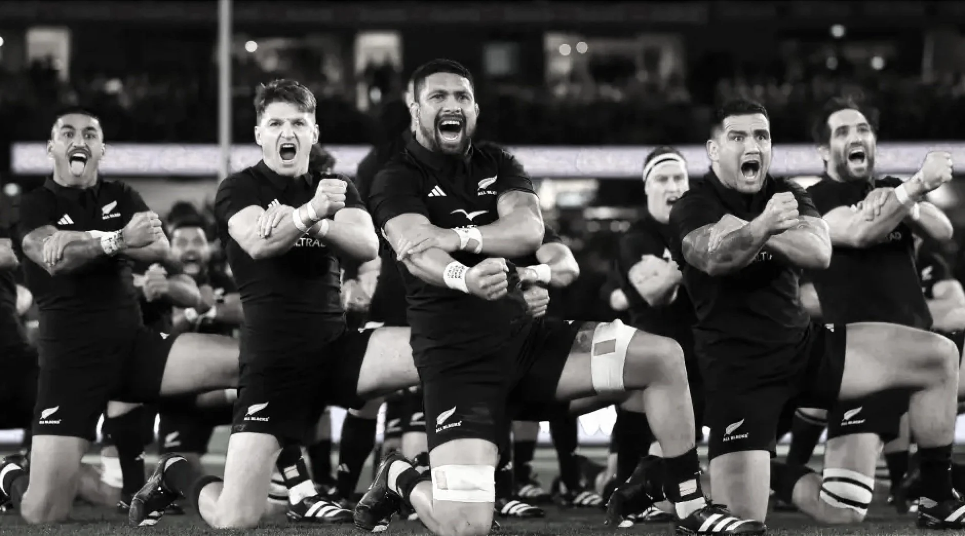 Rugby at the Hub - All Blacks v England