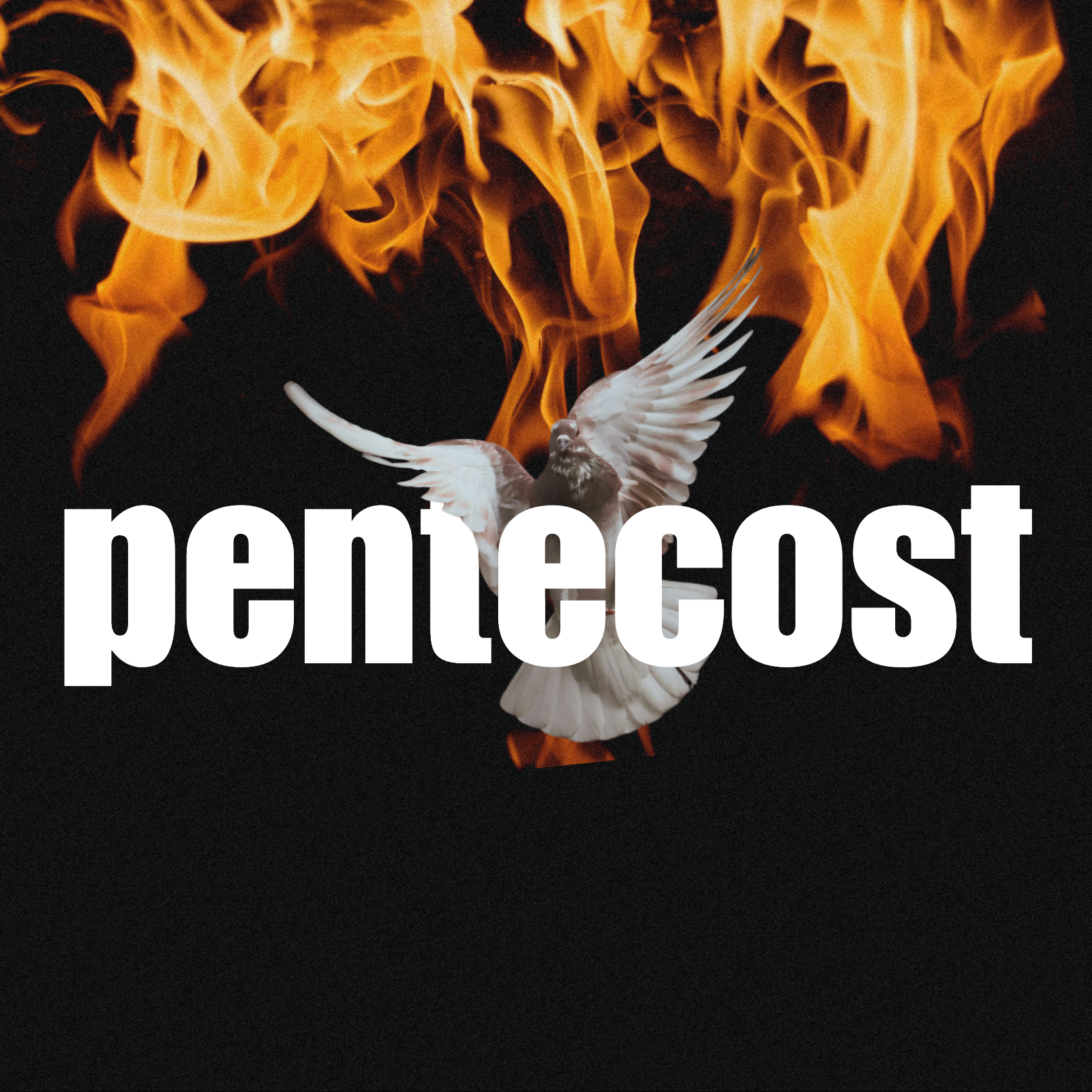 pentecost sunday | Jacinda Lilly