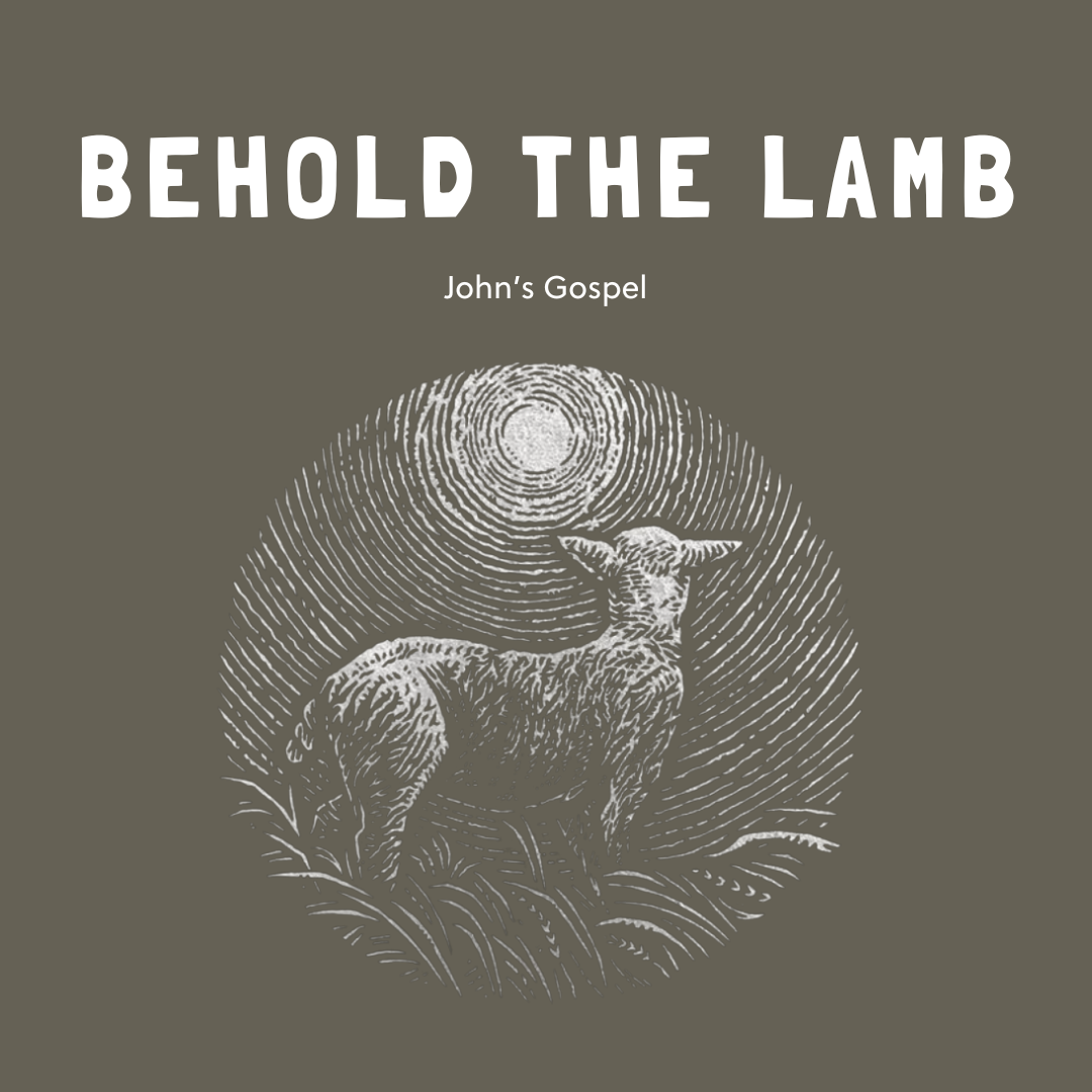 behold the lamb | Annaliese Phipps
