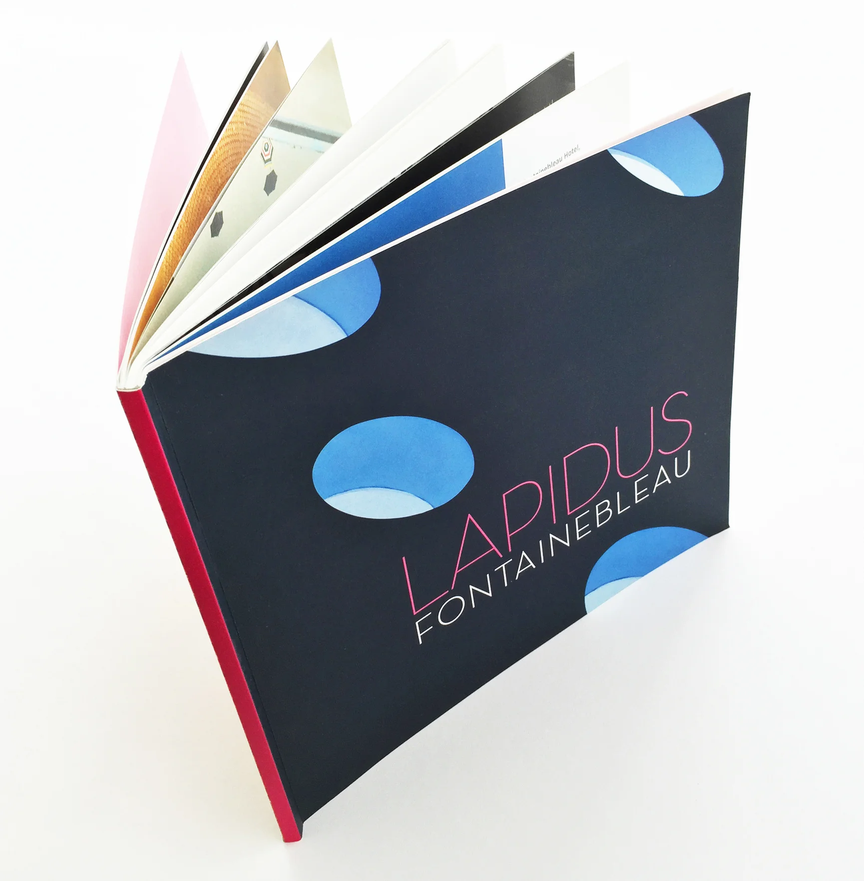 Lapidus 1.jpg
