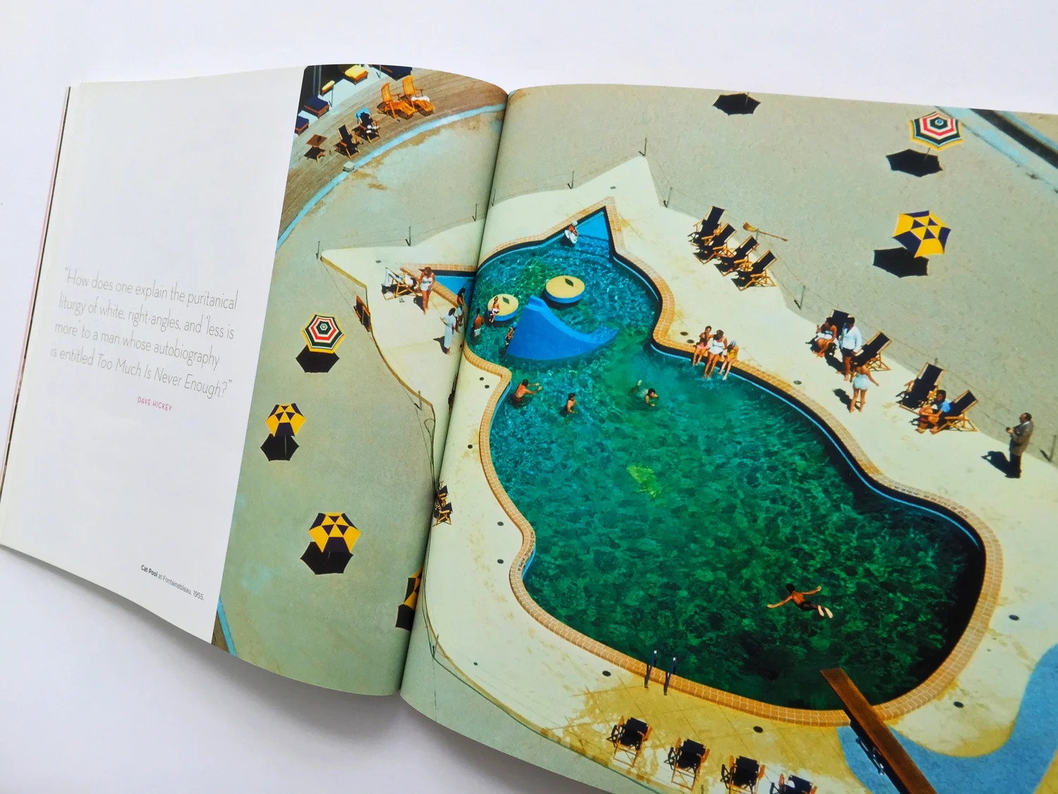 Lapidus Fontainebeau , the Cat Pool, published by Bright City Books