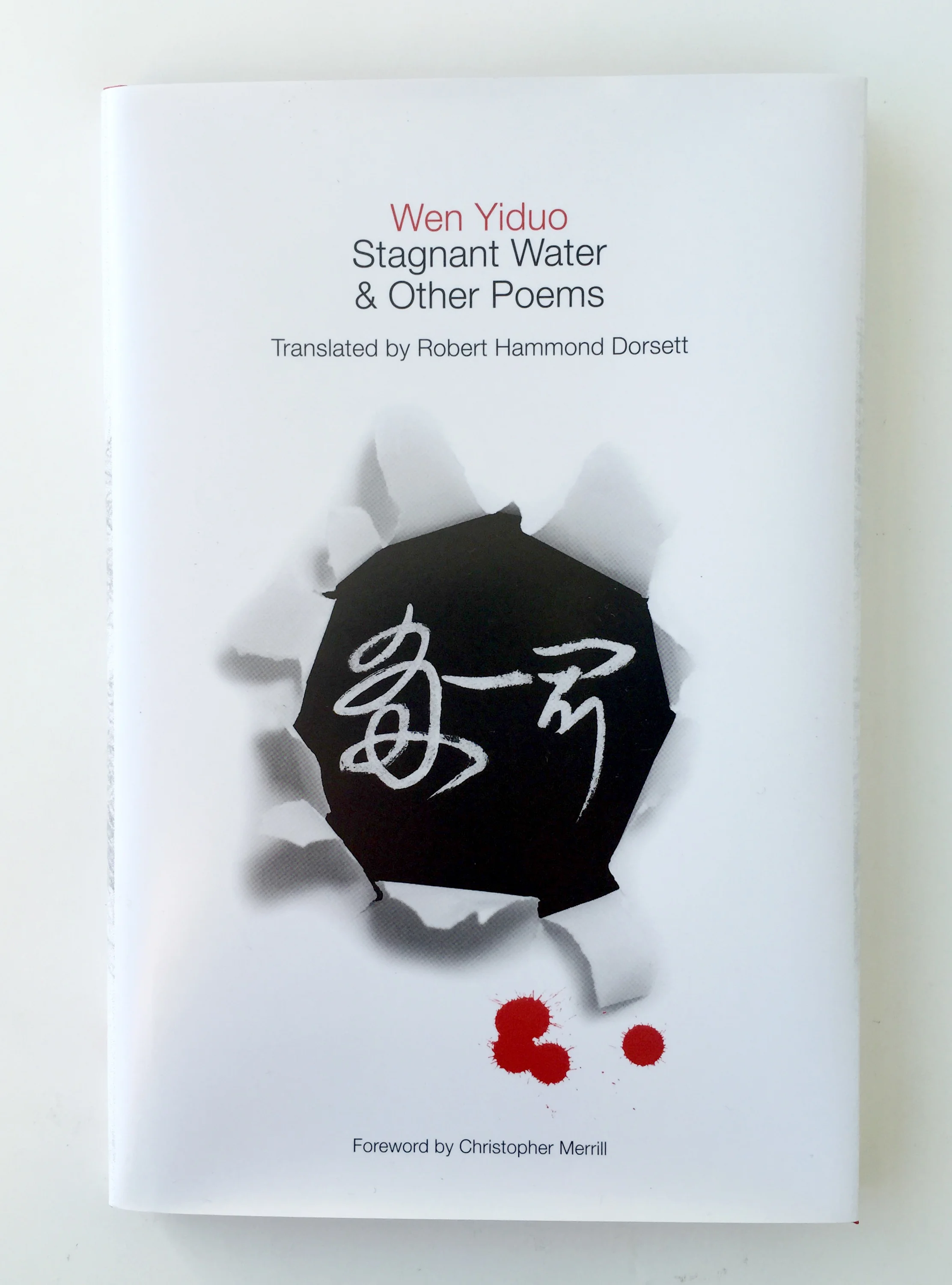 Stagnant Water: dust jacket