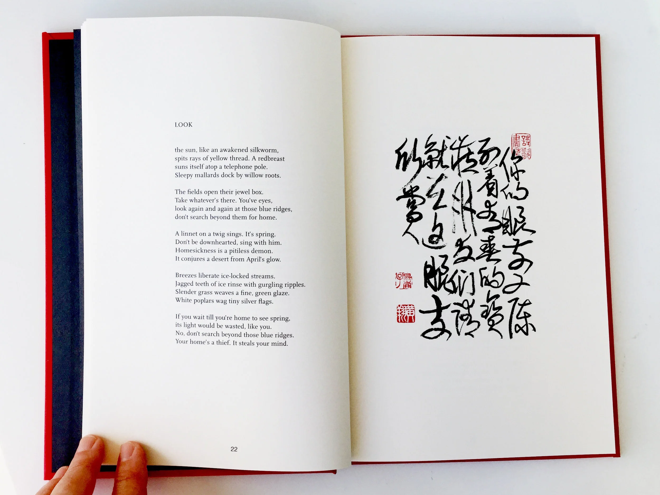 Stagnant Water: interior pages