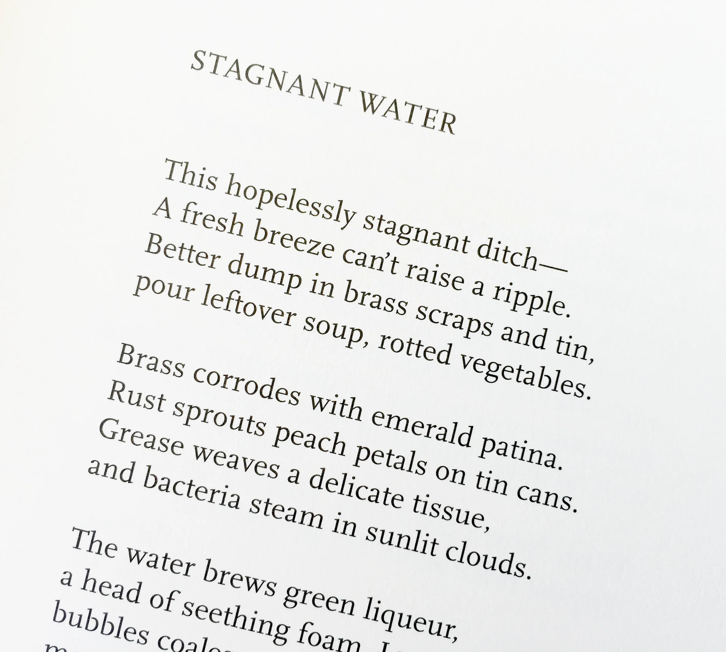 Stagnant Water: interior pages