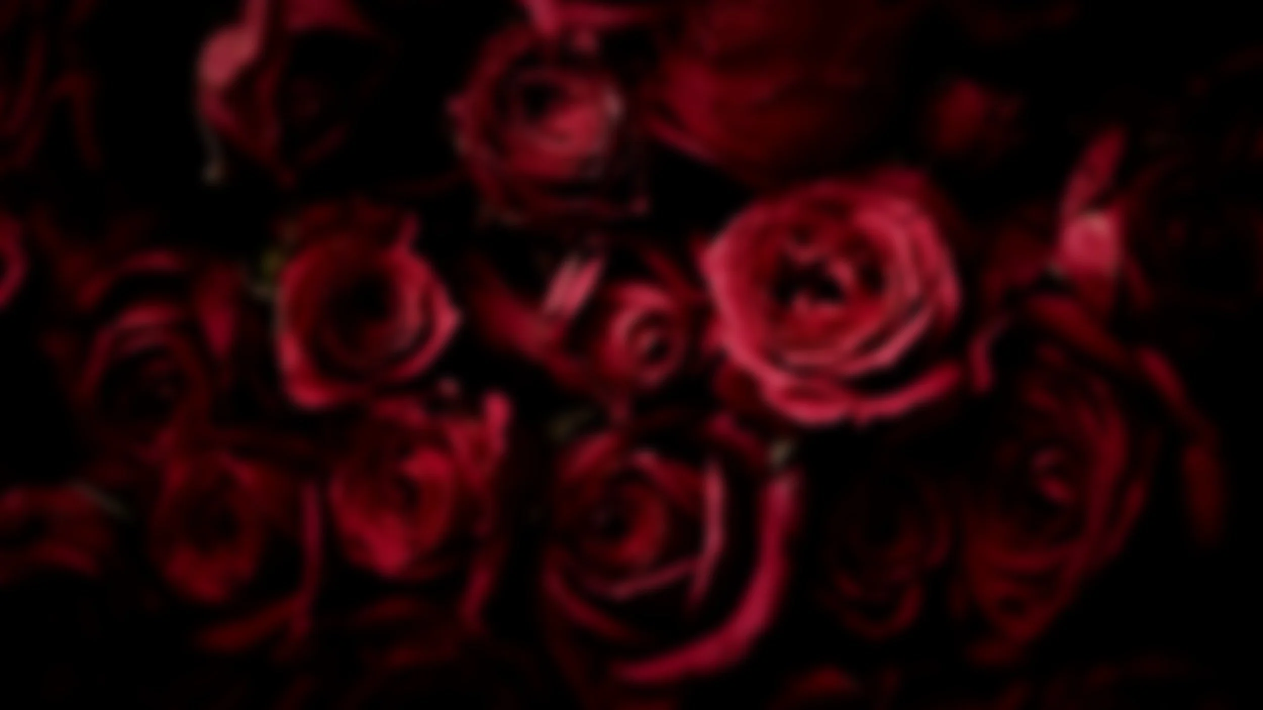 120485-red-roses-rose-flowers-dark-background-4k.jpg