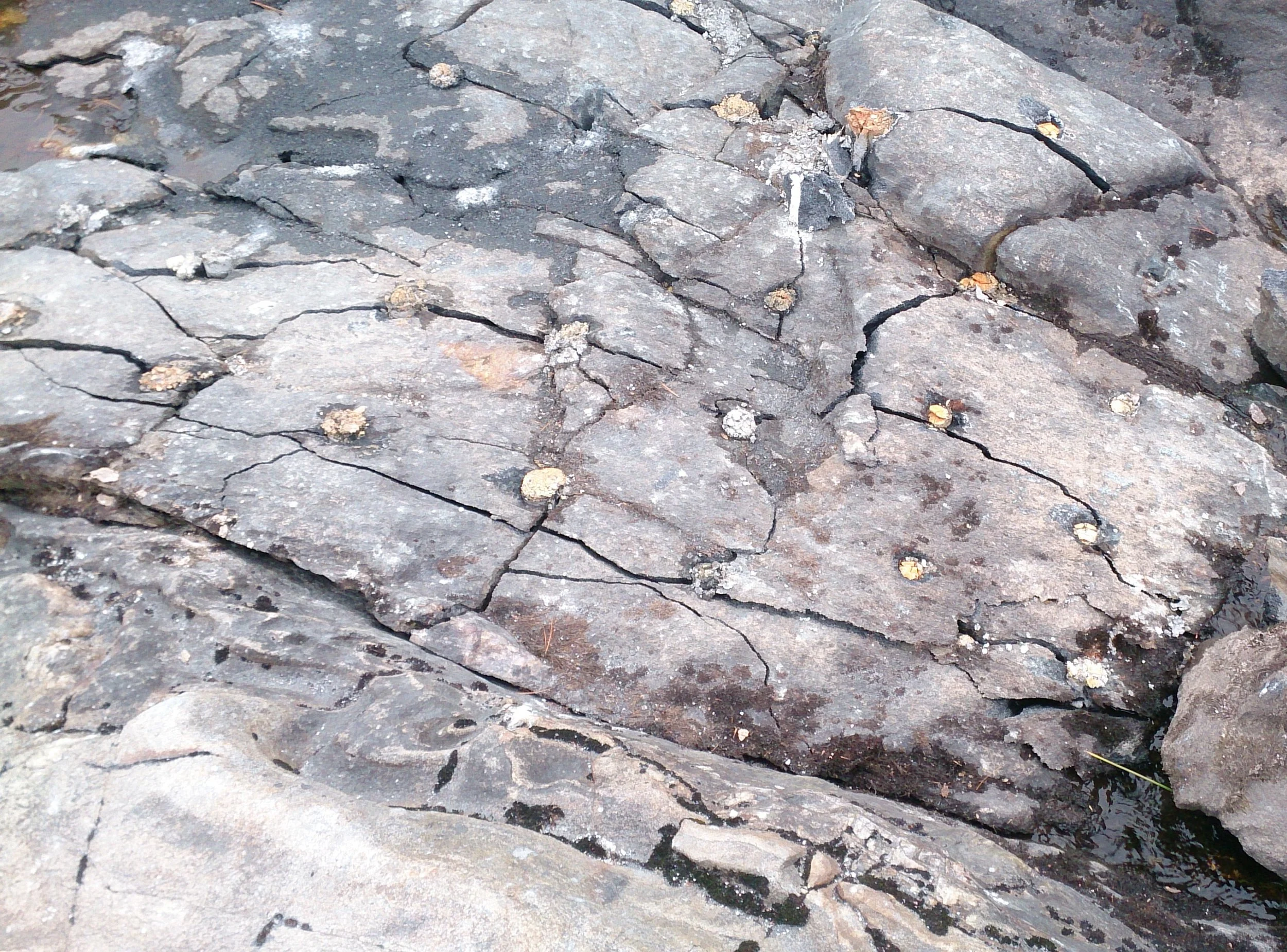 Dexpan cracking the bedrock.JPG