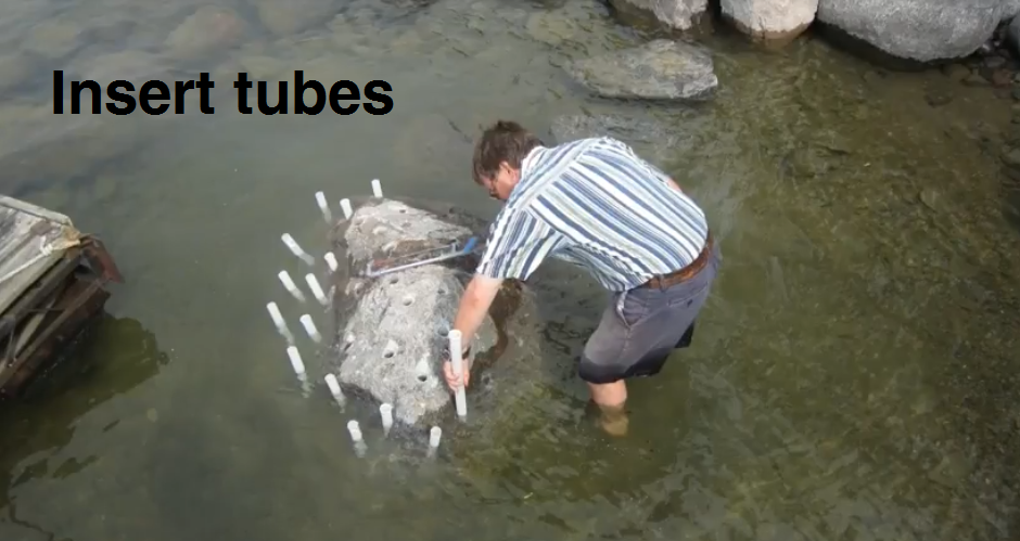 Underwater Boulder demo with Dexpan 2.PNG