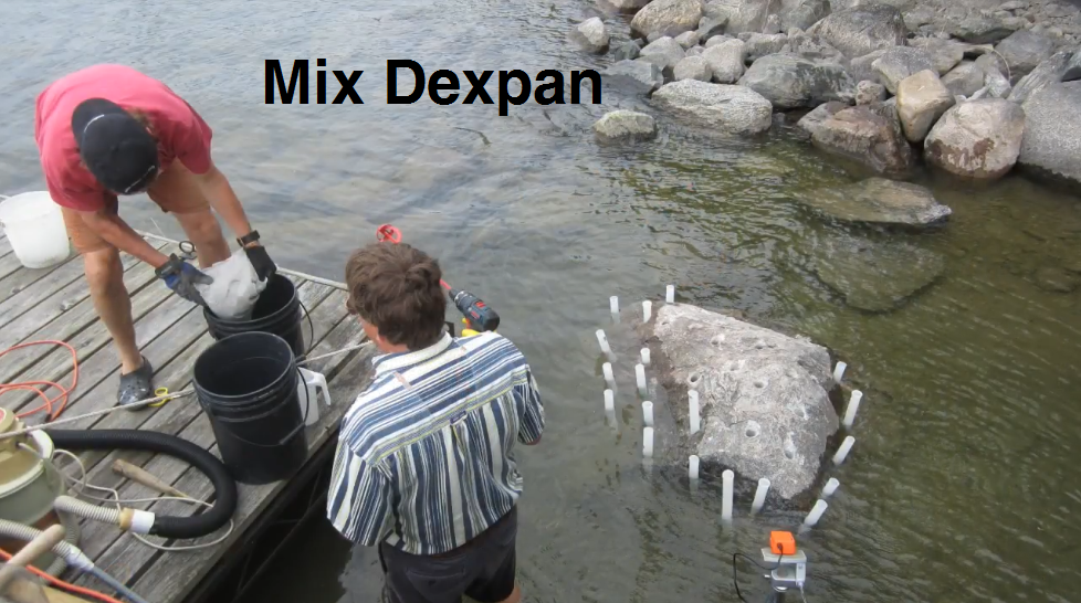 Underwater Boulder demo with Dexpan 5.PNG