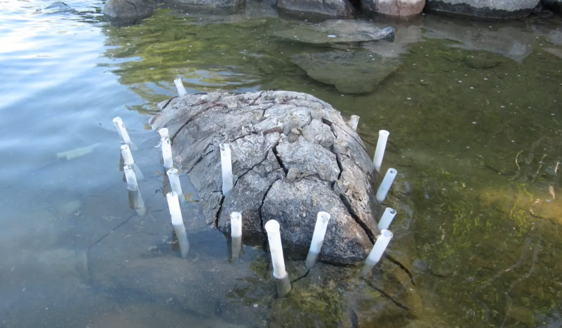 Using Dexpan to Break Underwater Rock