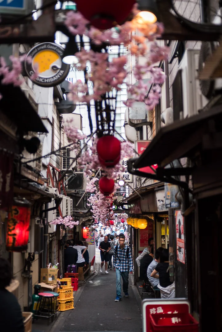 Omoide Yokocho is a historic area filled with little bars and snack stores. It's hard to believe there's a huge crossing just outside, the juxtaposition is a bit unreal, but ancient contrasted with hypermodern was a consistent theme in Tokyo.