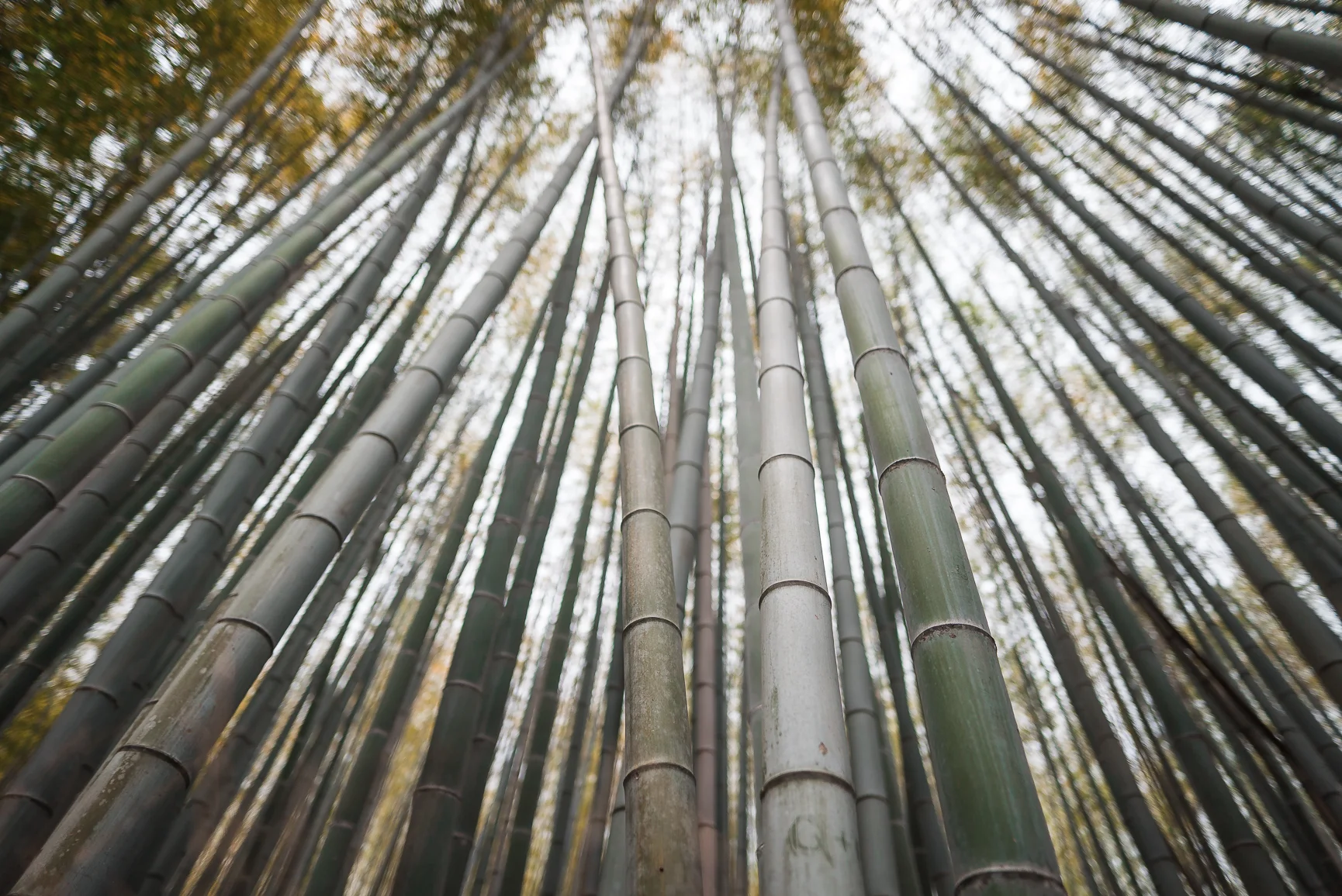 edwardchang-Kyoto-12.jpg