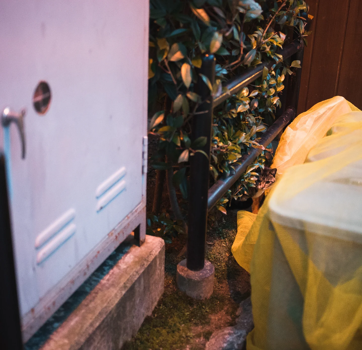 edwardchang-Kyoto-69.jpg