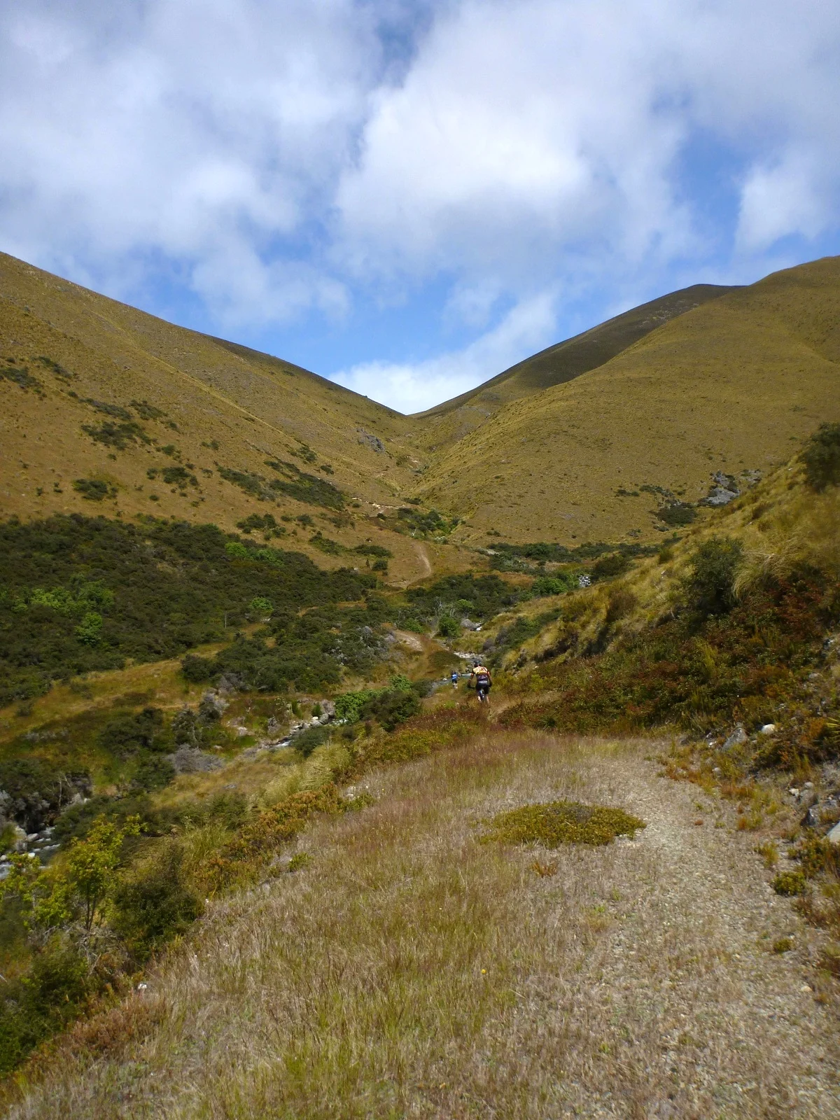single track central Otago Naseby 