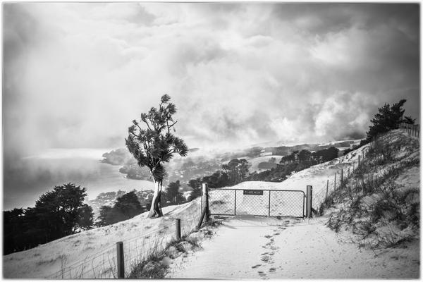 Otago Peninsula in winter- photo Lisa Welch