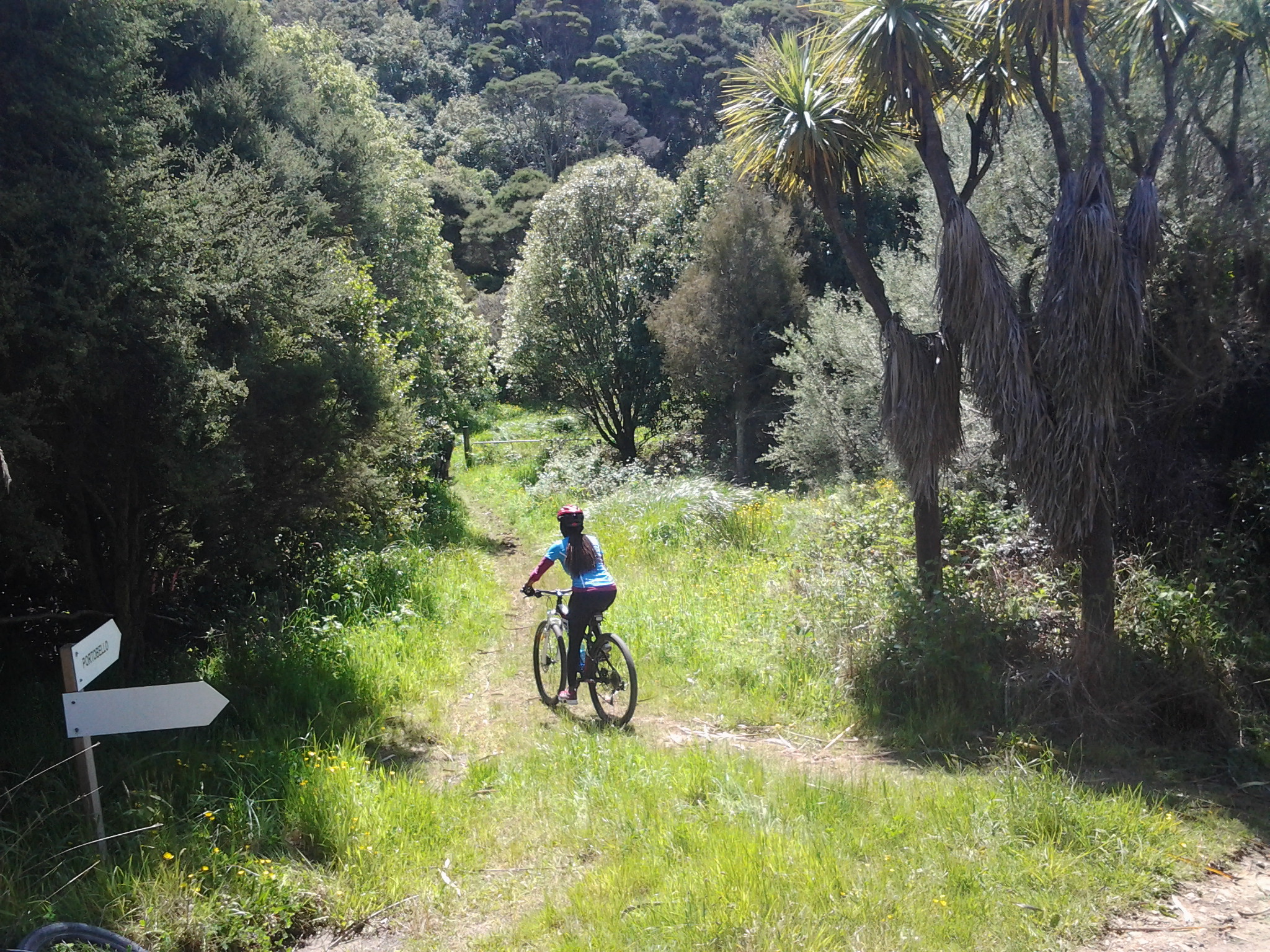 One of my favourite tracks near Portobello