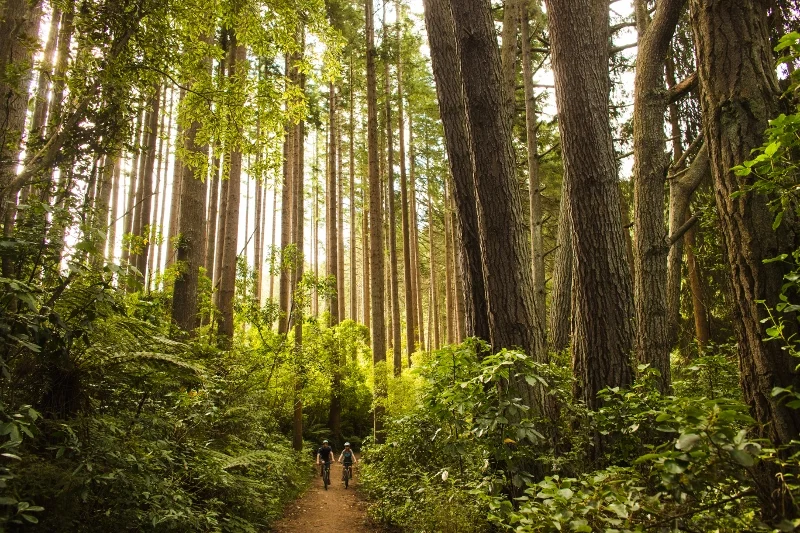 Off-Track-2016-2 (800x533).jpg