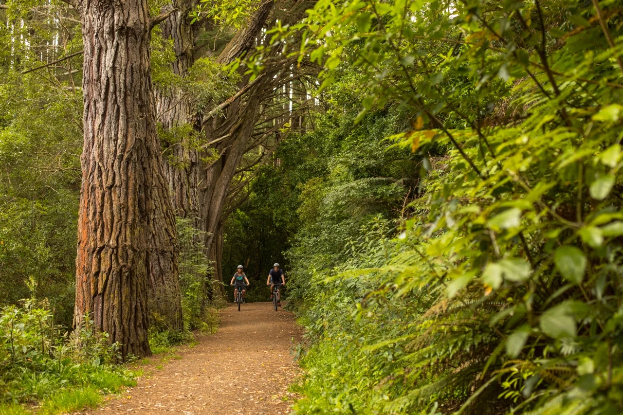 Off-Track-2016-19 (1280x853).jpg