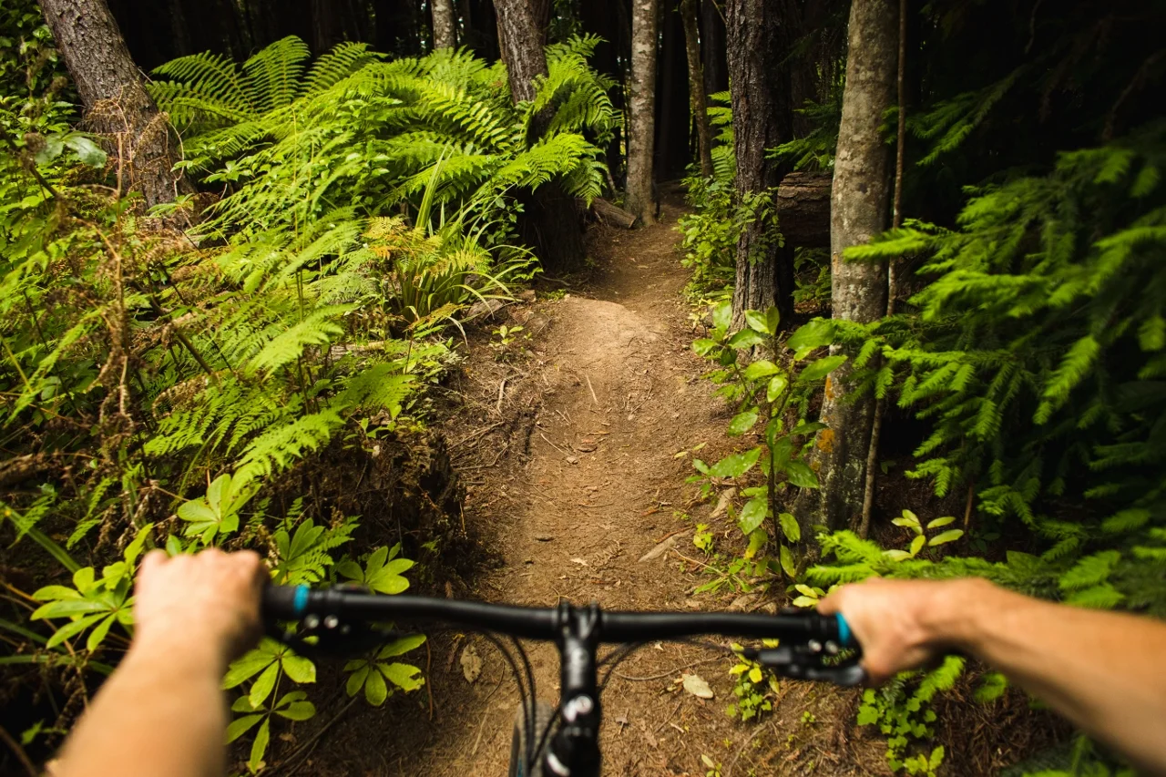 Off-Track-2016-8 (1280x853).jpg