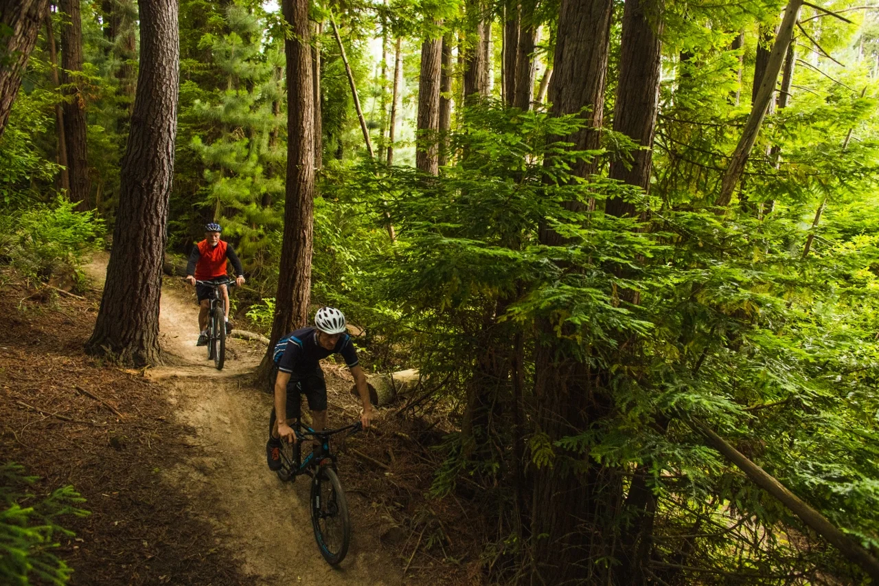 Dunedin MTB Tracks 2hr Tour $99pp