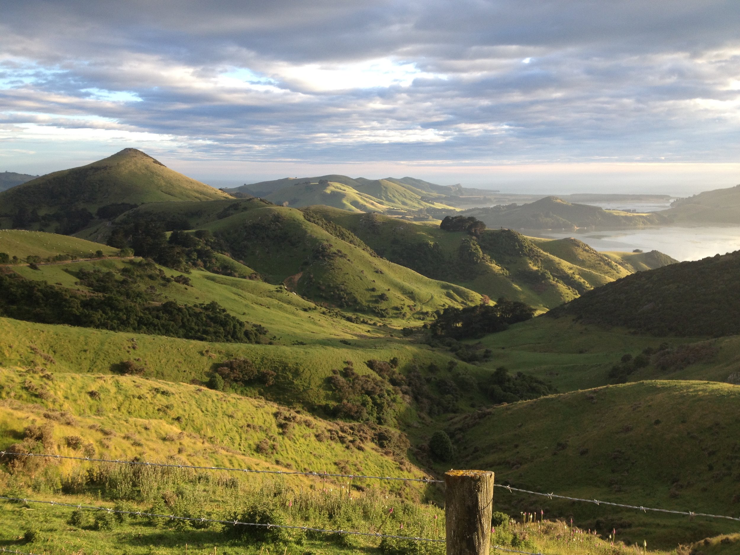 2017-01-06 06.51.32 (1).jpg