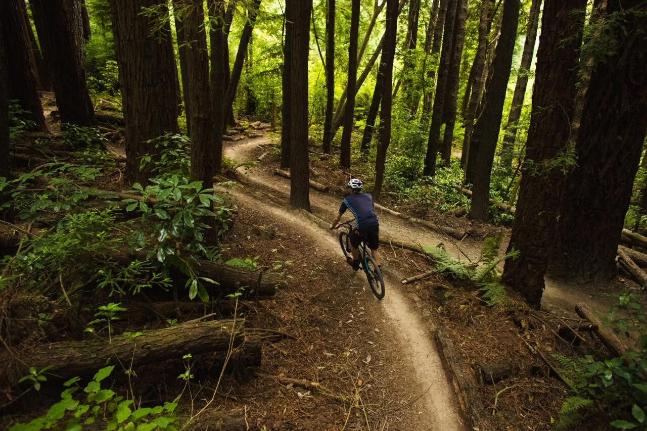 Redwoods mountain bike.jpg