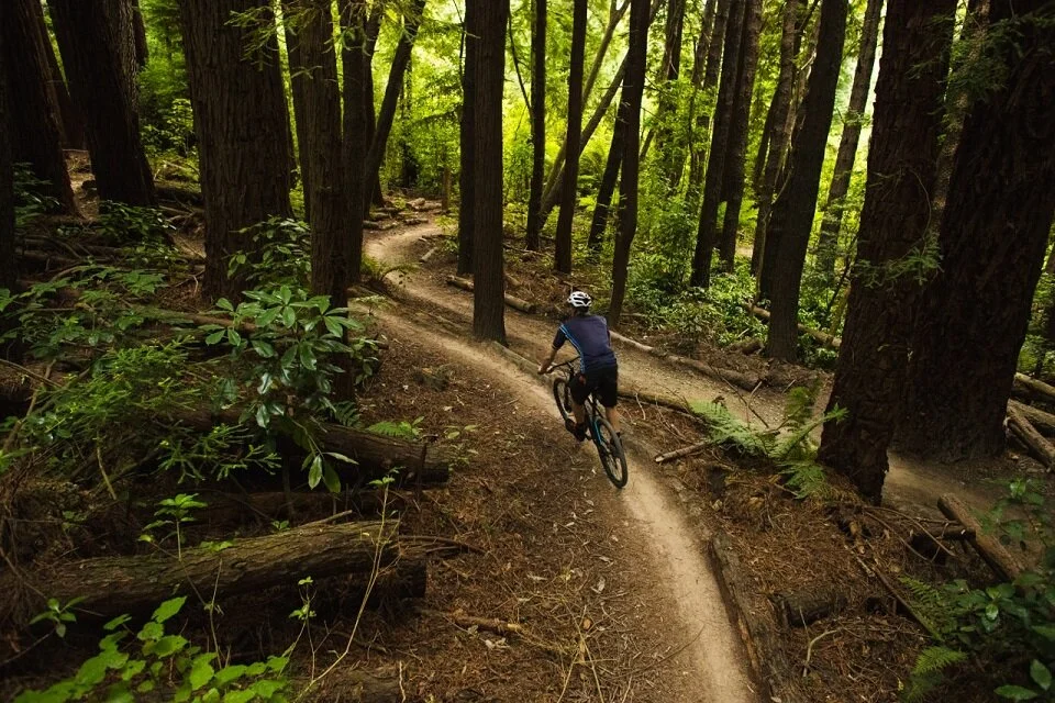 Dunedin MTB Tracks 2hr tour $99pp