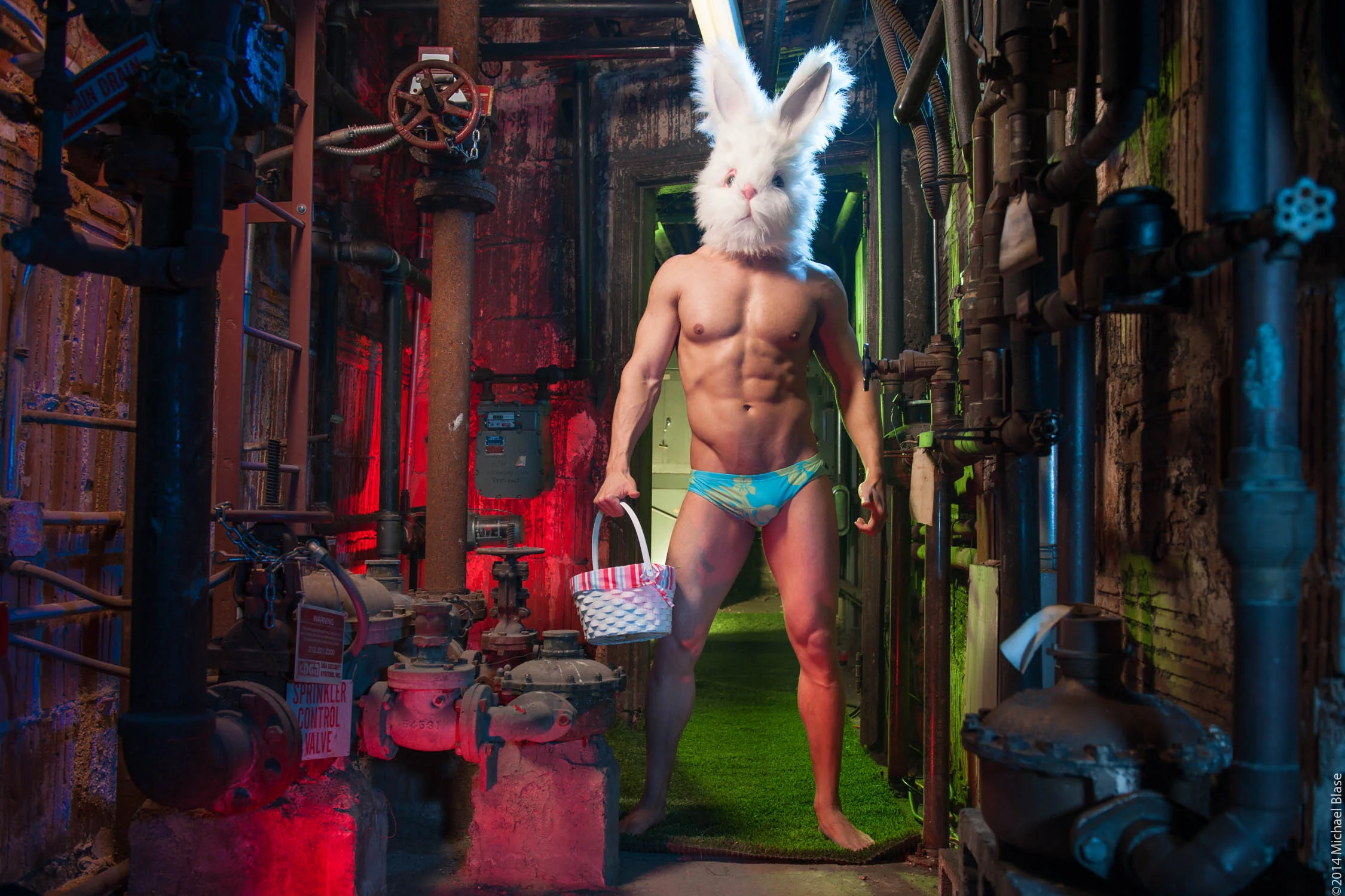 Full Bunny Contact