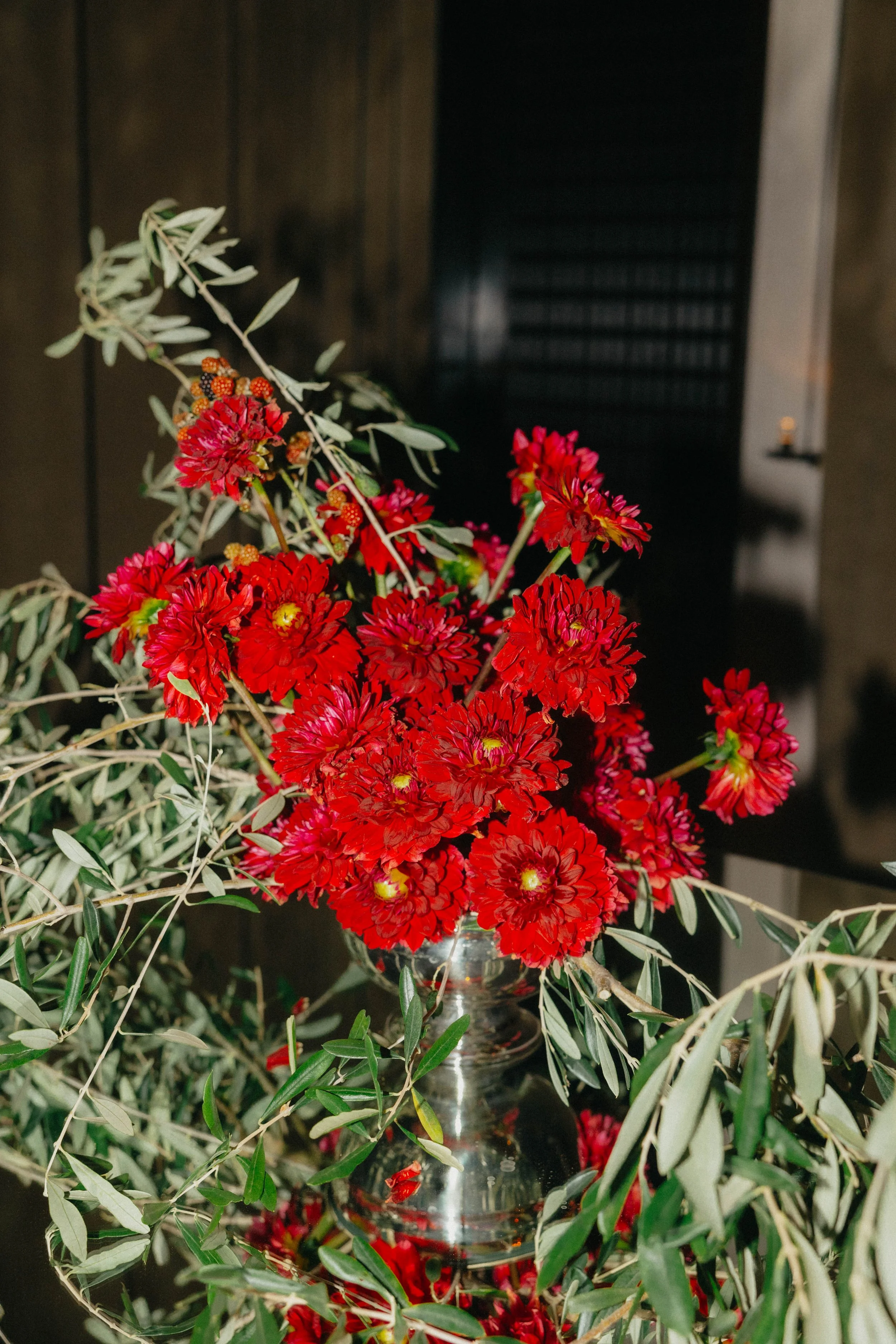 B04A8979.jpg