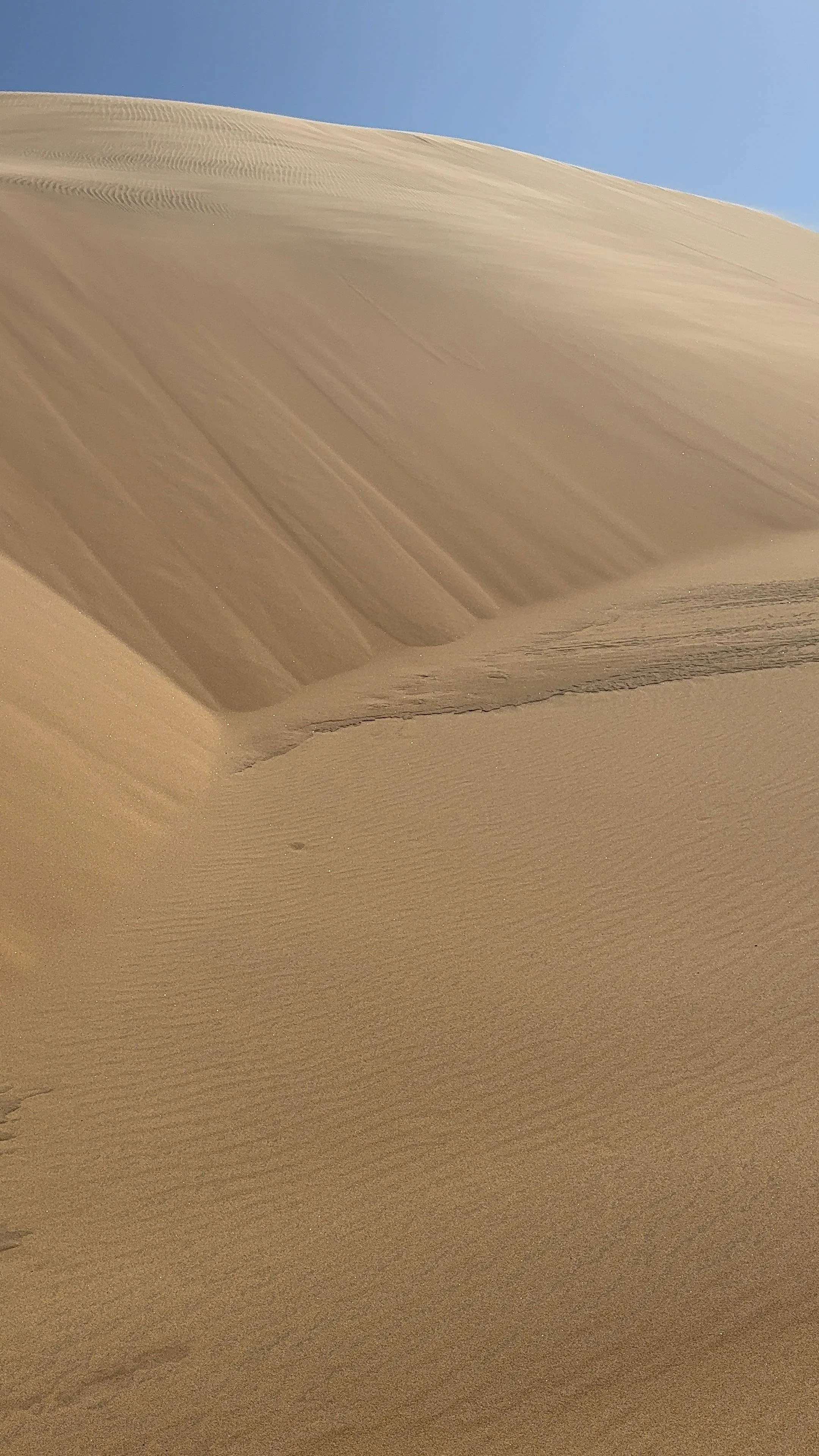 Travel pictures 2 13.28.23.jpeg