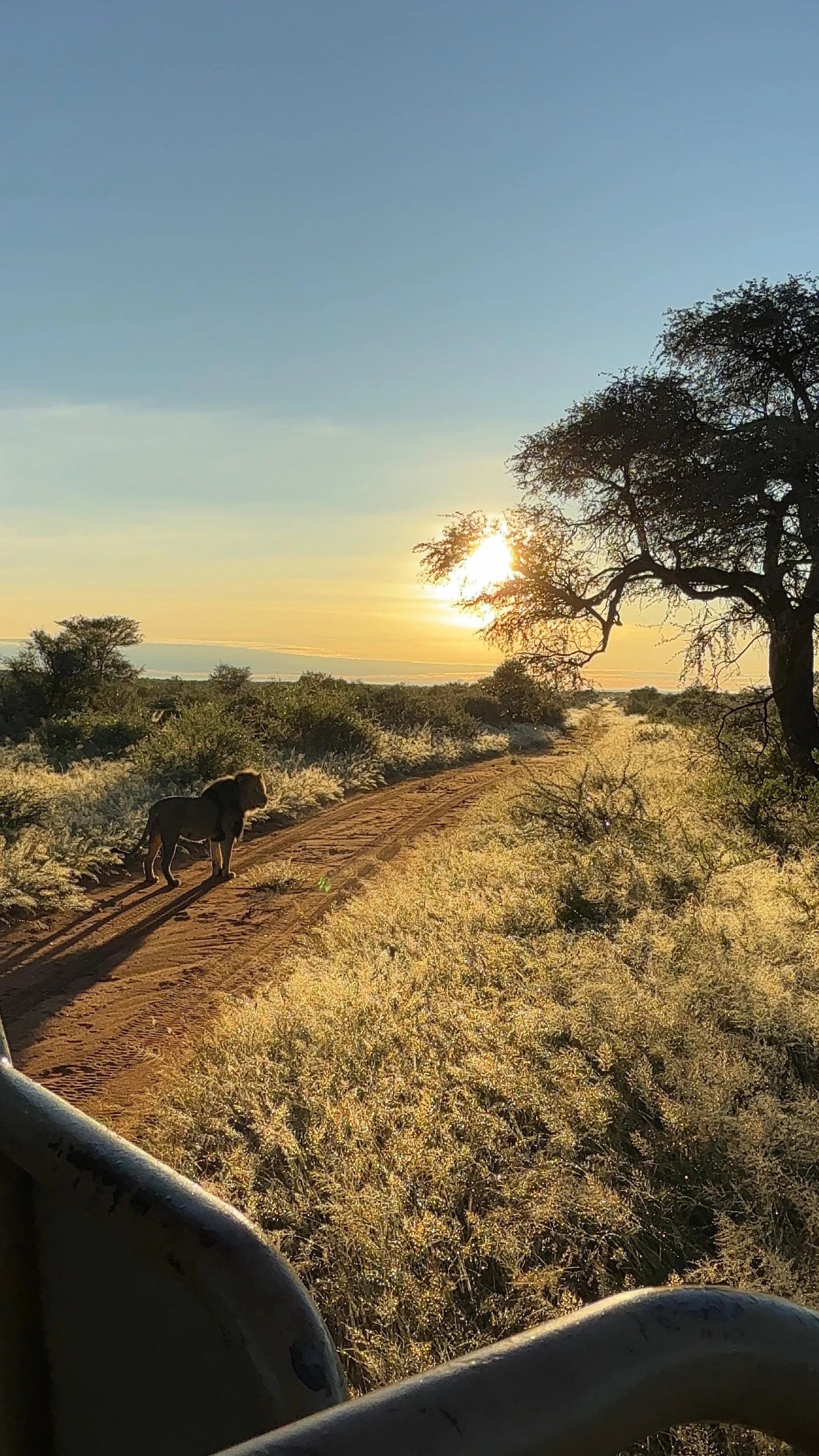 Travel pictures 2 13.32.39.jpeg