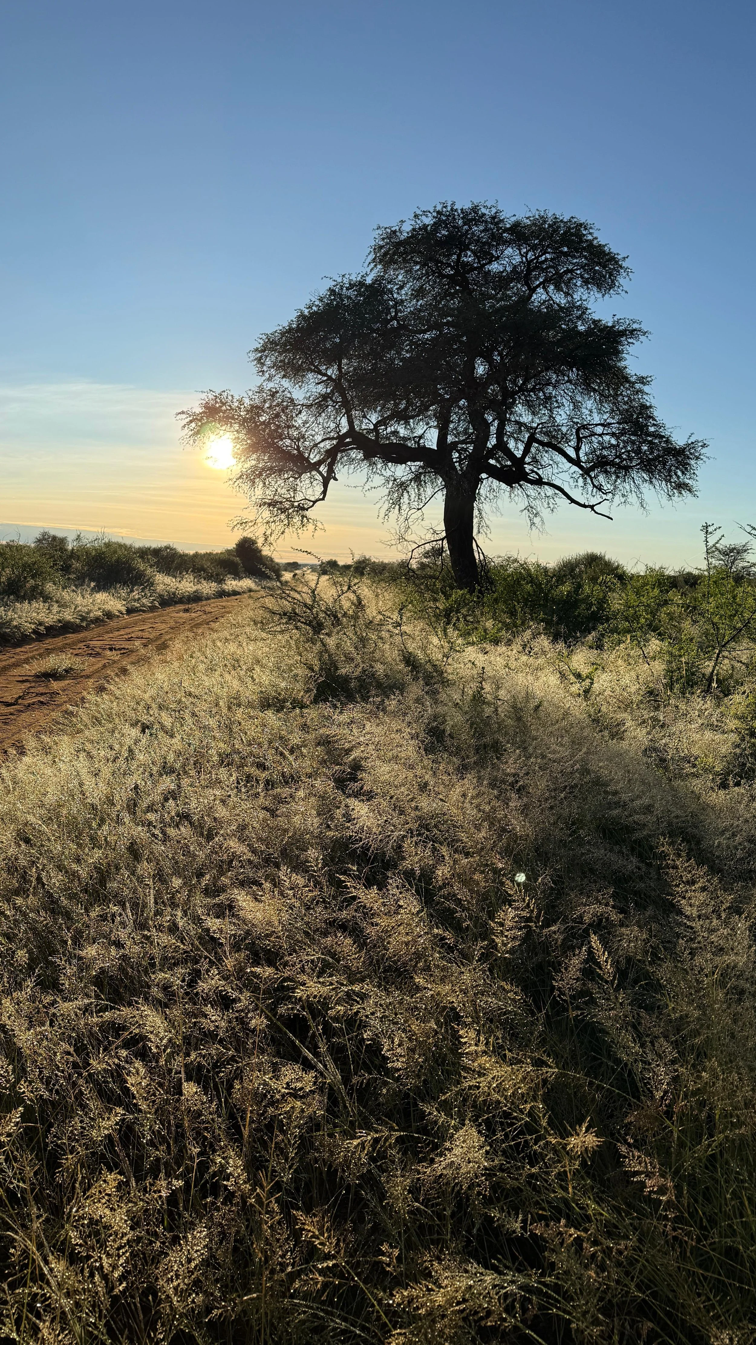 Travel pictures 2 13.32.57.jpeg