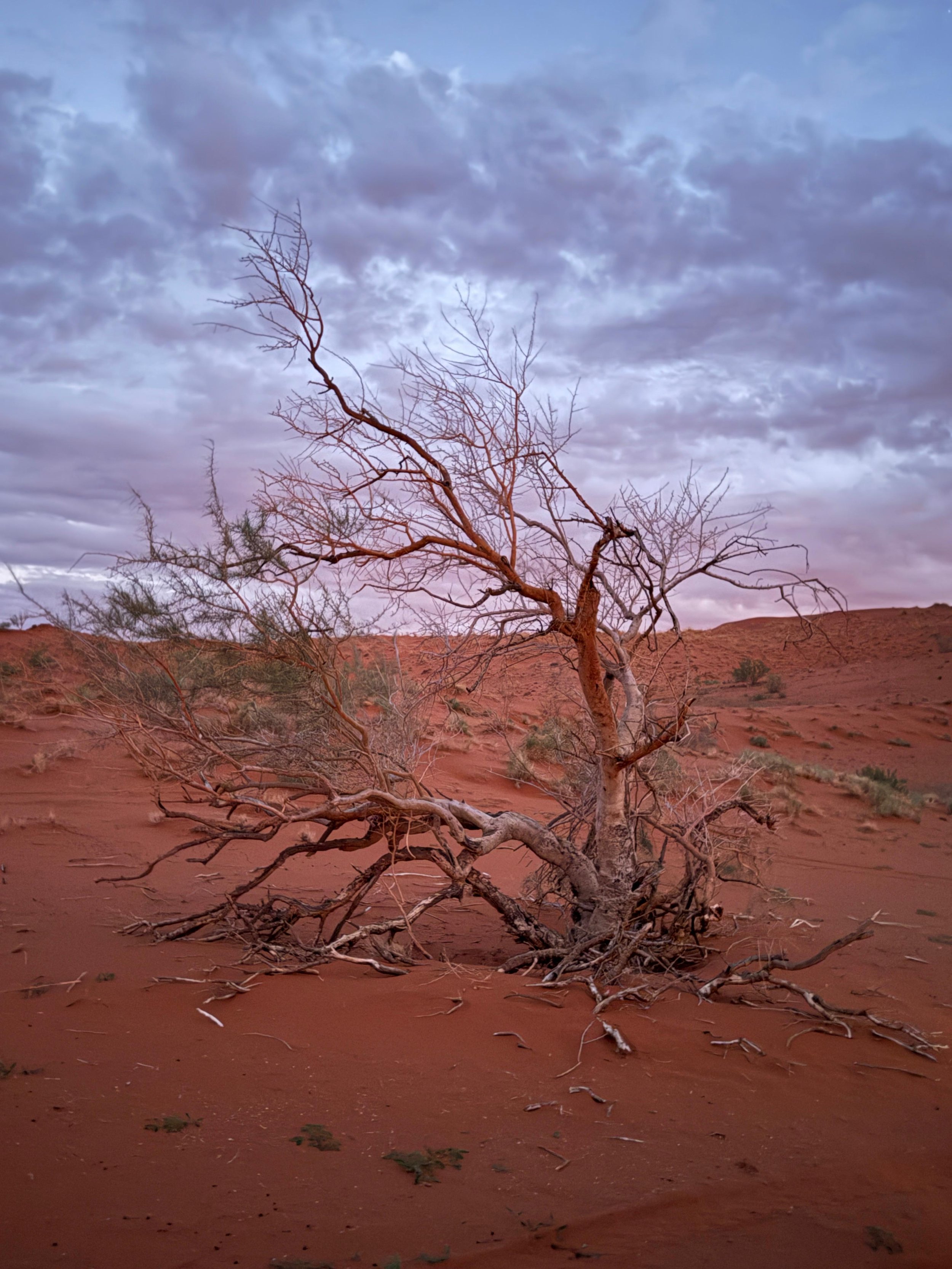 Travel pictures 2 13.35.28.jpeg