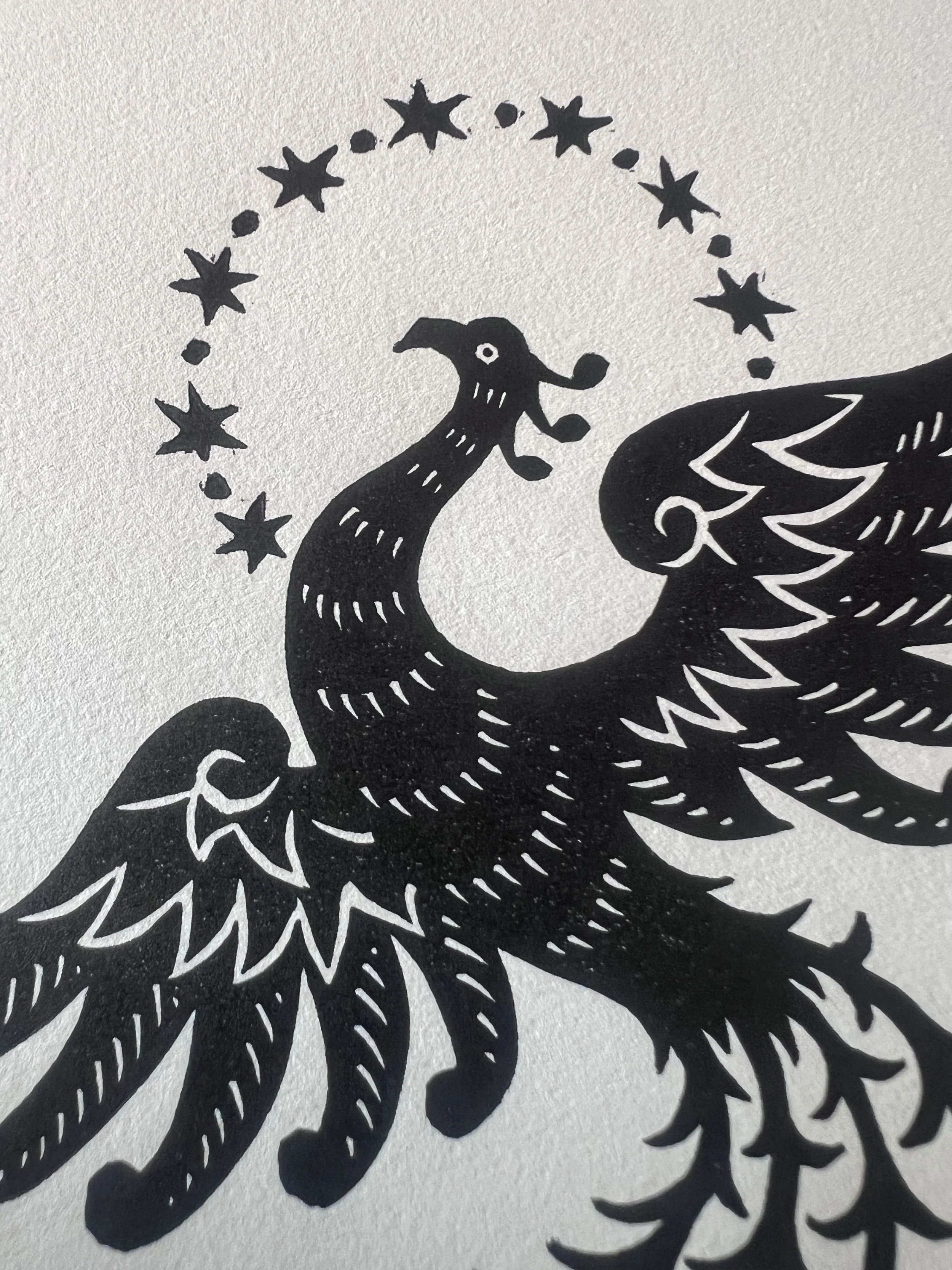 phoenixdetail.jpg