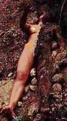 Erosion. We do exist