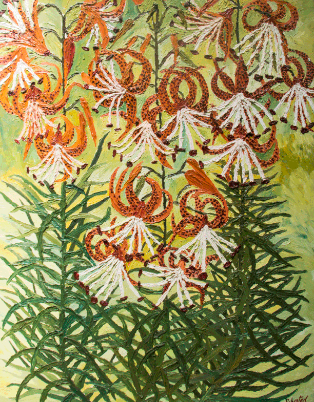 Tiger Lillies