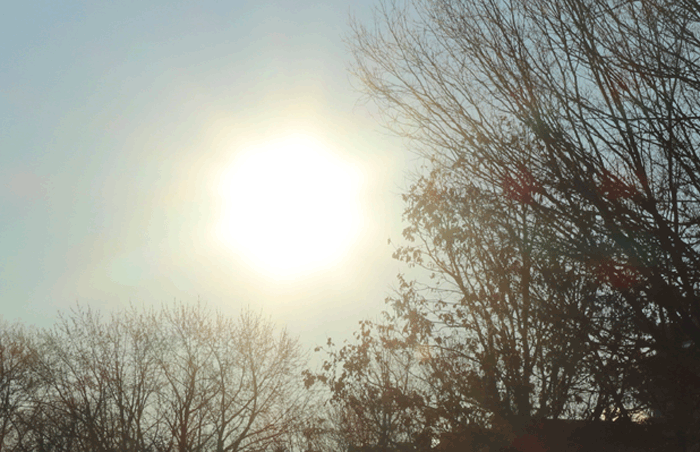 Link03.gif