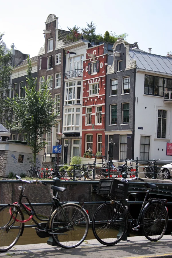 16-NL (83).jpg