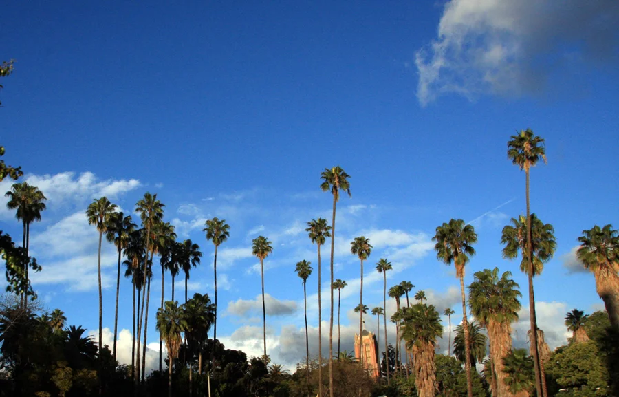 1.LA (3).JPG