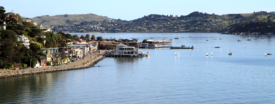   Location &nbsp;•&nbsp;Description 