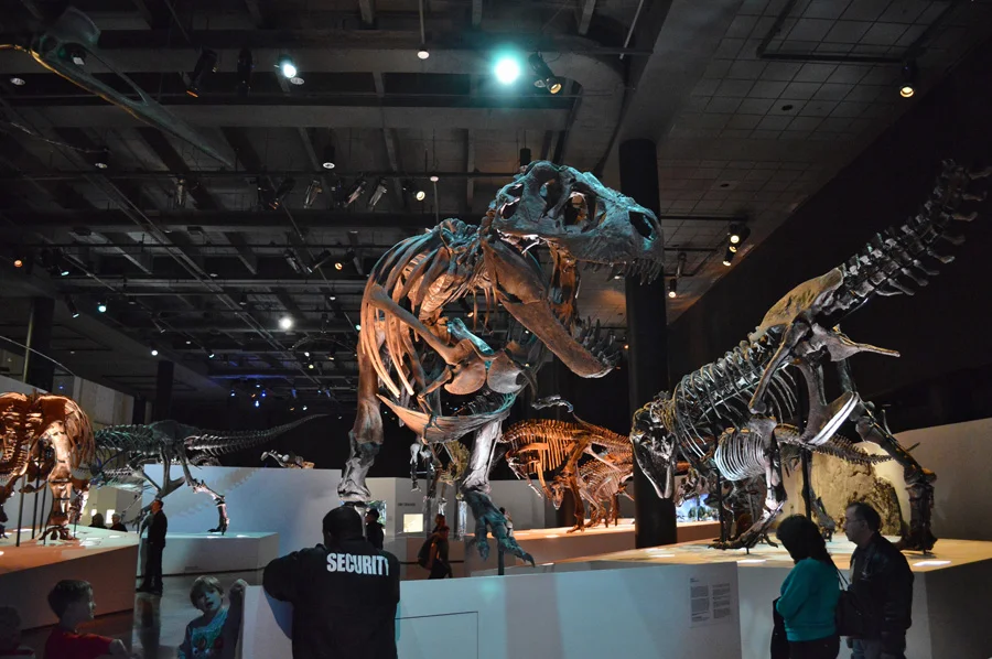 4.TXHouston Museum of Natural Science.JPG