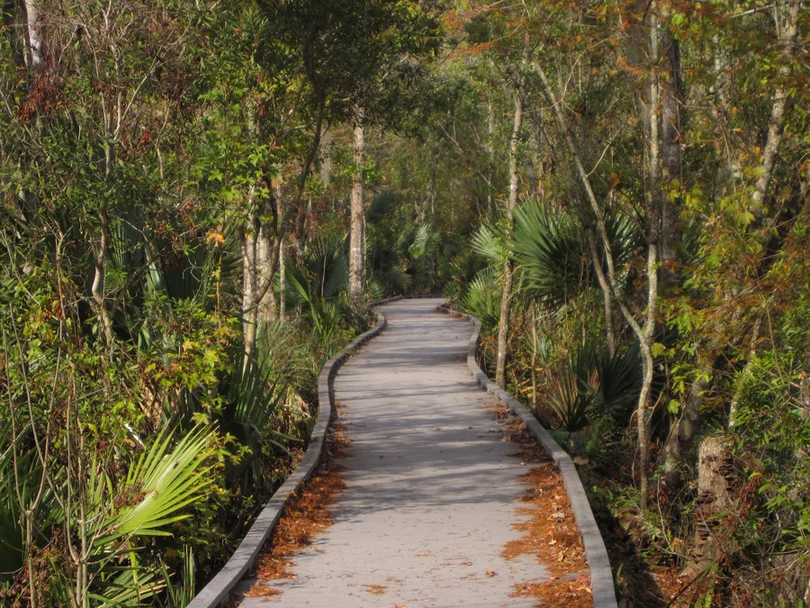 60.barataria nature preserve 1.jpg