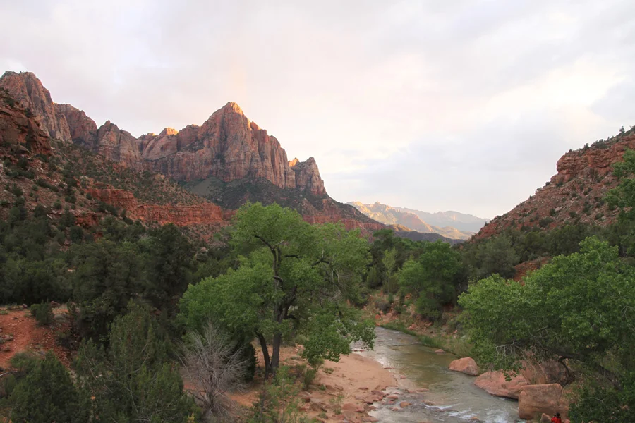Zion National Park • Hike along the Virgin River deep in the valley of Zion National Park