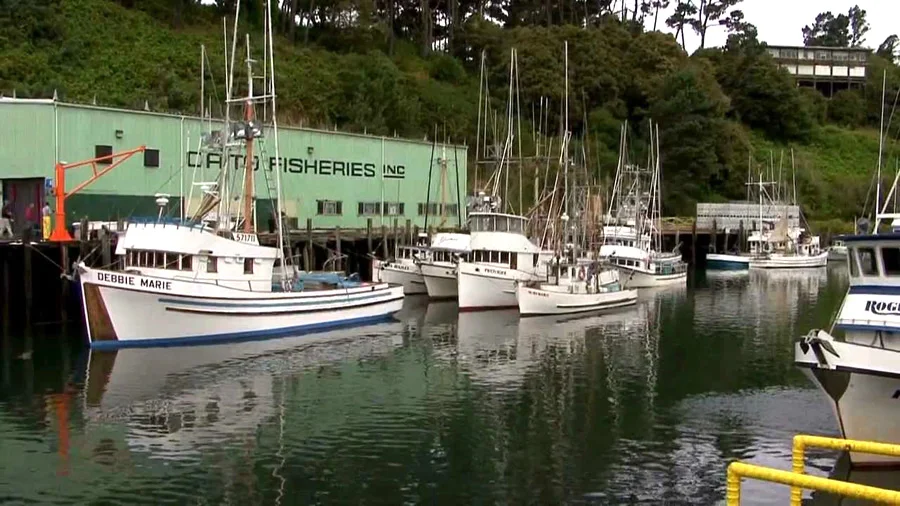   Mendocino Coast  &nbsp;•  The protected fishing port in Fort Bragg, for the best and freshest fish-and-chips in the region 