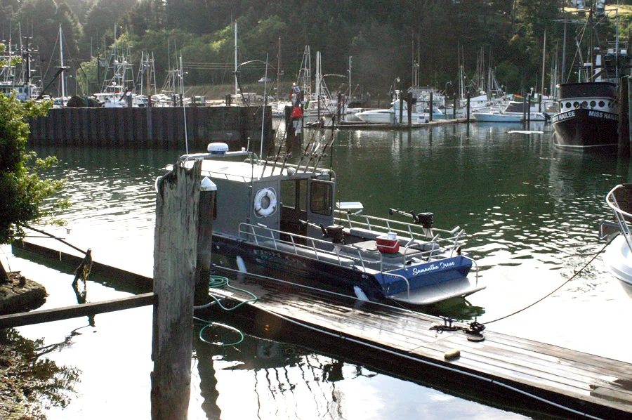 Bodega Bay • A peaceful fishing village on the coast, and also the site of the famed Hitchcock movie "Birds"