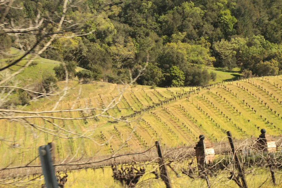 4.SONOMA WINERIES (1).JPG