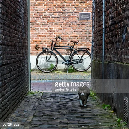   Location &nbsp;• Description 