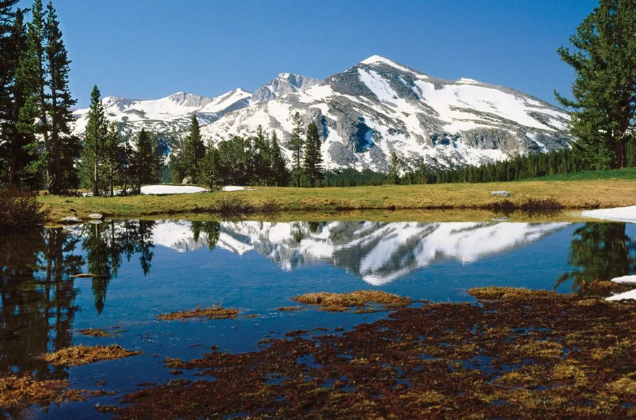 Yosemite • Tioga Pass