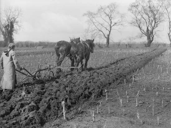 tilling-the-soil_u-l-q10d6kw0.jpg