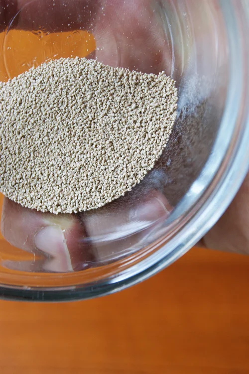 Does Dry Yeast Need to Be Refrigerated: Essential Storage Tips