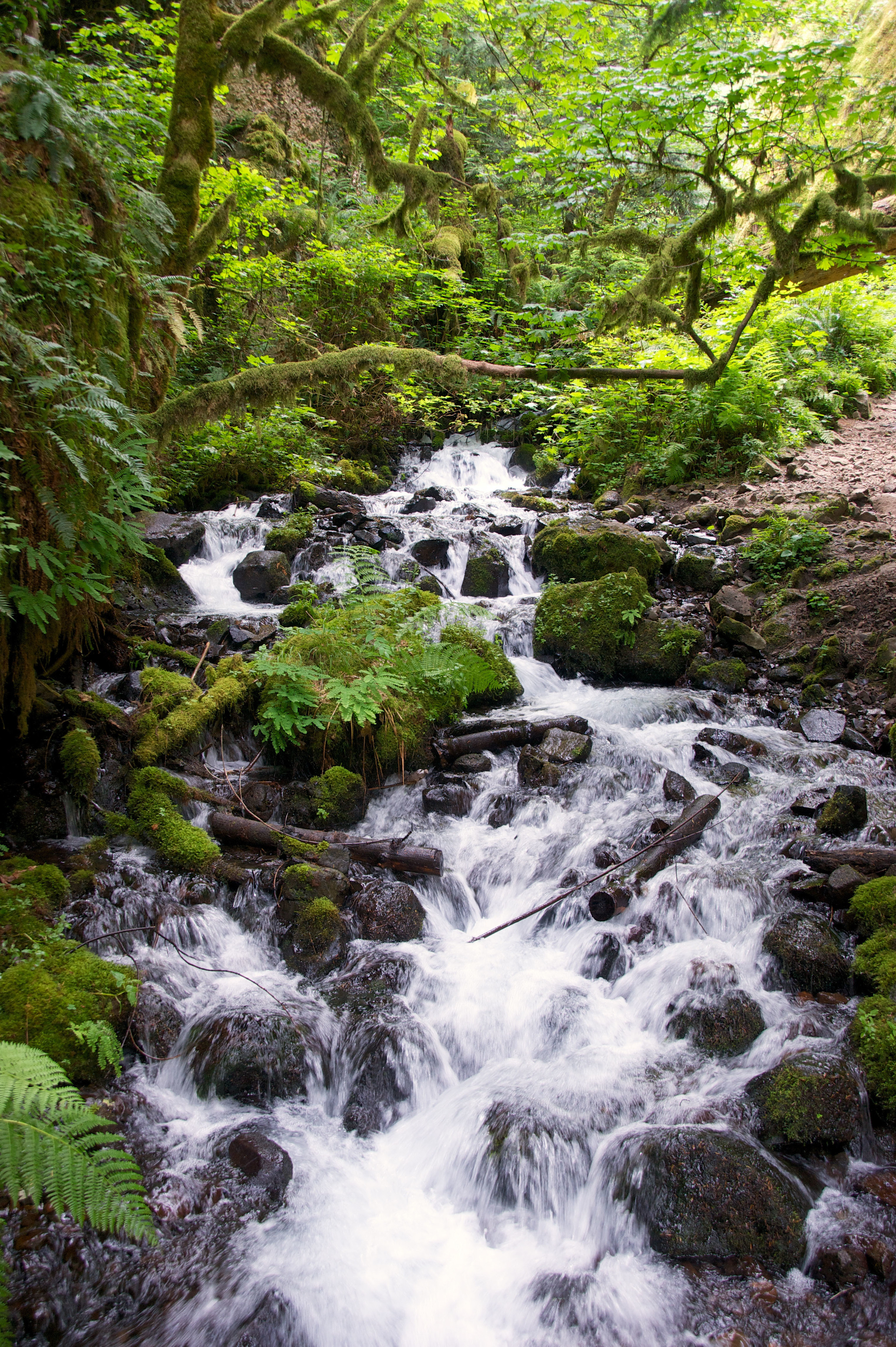 Multnomah Falls Hike